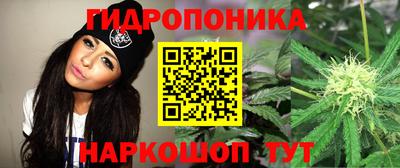 сатива Дубна